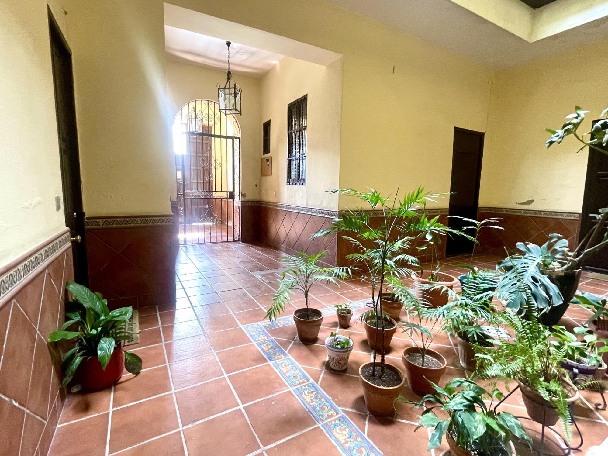 Apartament Eva Recommends Plaza De San Marcos